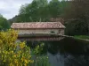 la réserve d'eau